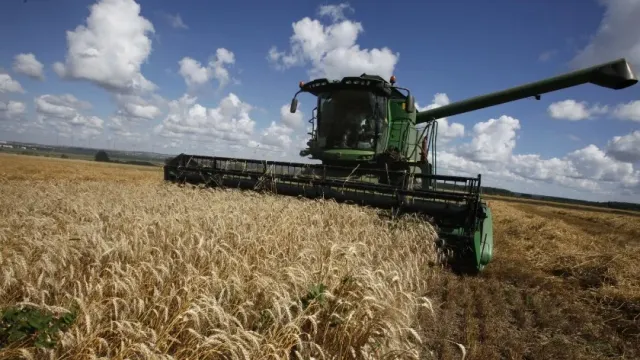 СБУ задержала на Украине чиновника за получение взяток с экспортеров агропродукции
