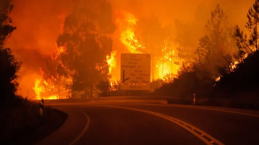 Сотни пожарных борются с лесным пожаром в Португалии