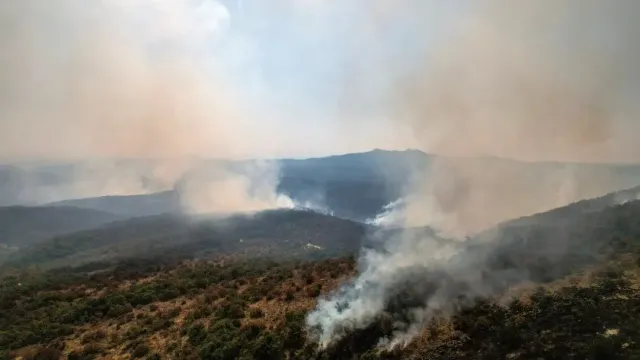 Лесной пожар в Греции опалил территорию размером больше Нью-Йорка