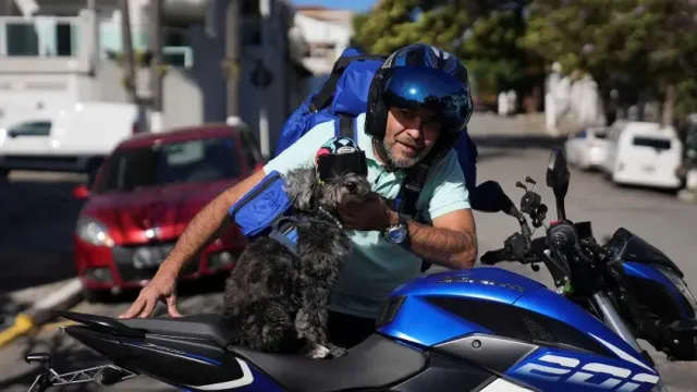 Собака и ее владелец катаются на мотоцикле по улицам Бразилии, чтобы помочь голодным щенкам