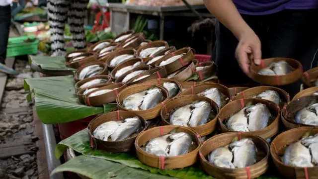 Эксперт заявил, что изменение климата могло стать причиной массовой гибели рыбы в Таиланде