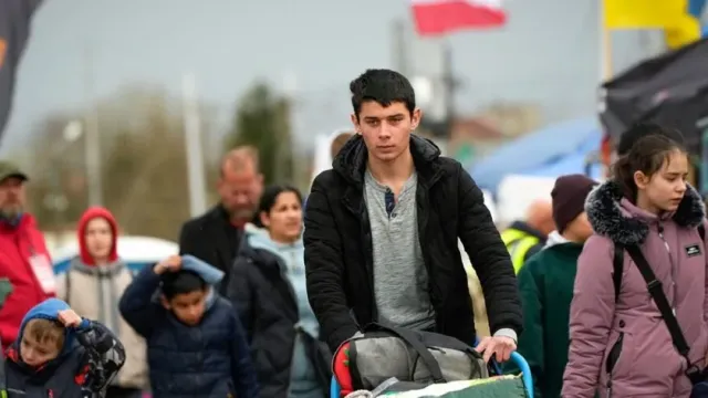 Украинские беженцы отказались собирать клубнику в Эстонии из-за больших пособий