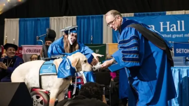 Служебному псу, ходившему со студенткой Грейс Мариани на занятия, вручили диплом