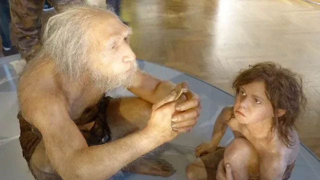 Археологи обнаружили случаи каннибализма среди неандертальцев