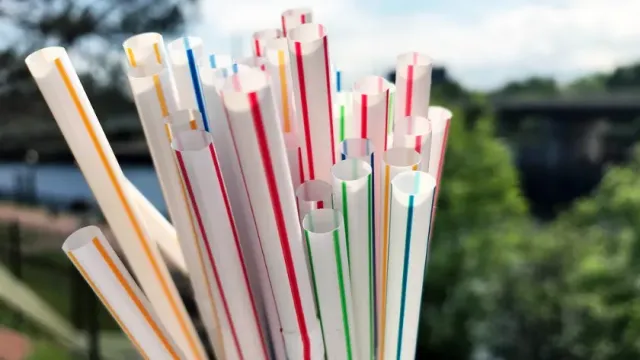 Бумажные трубочки могут оказаться не лучше пластиковых для окружающей среды