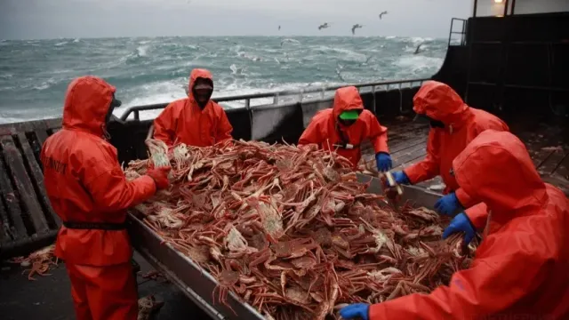 Власти Гонконга планируют ввести повсеместный запрет на японские морепродукты