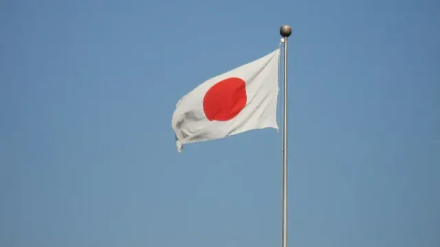Комиссия обнаружила сокрытие в делах о домогательствах в ВС Японии