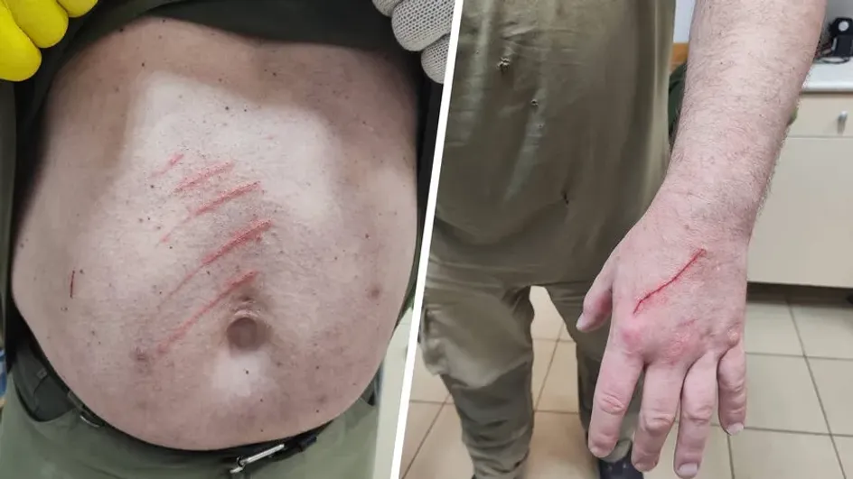 Панда Катюша в Московском зоопарке поцарапала одного из сотрудников