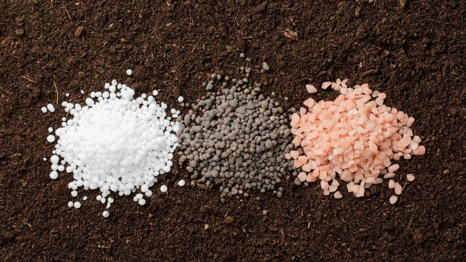 Литва предложила спонсировать Украину за счёт доходов от удобрений Белоруссии