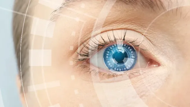 В новом исследовании ученые раскрыли динамическую архитектуру глаза человека