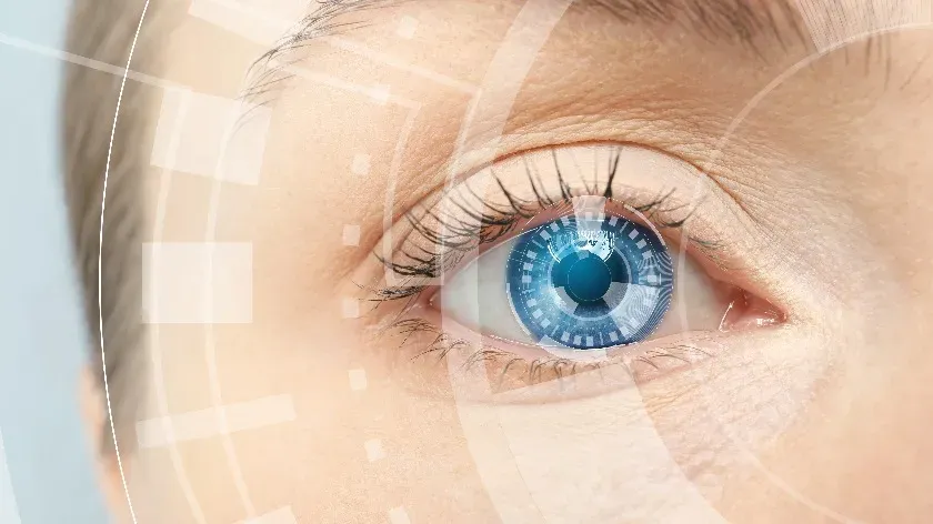 В новом исследовании ученые раскрыли динамическую архитектуру глаза человека