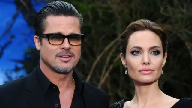 Анджелина Джоли обвинила экс-супруга Брэда Питта в разграблении виноградника в Провансе