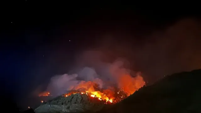 Власти Швейцарии борются с лесным пожаром у границы с Италией