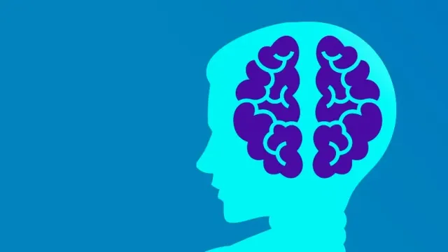 Нейробиолог Макдональд назвала три способа защитить мозг